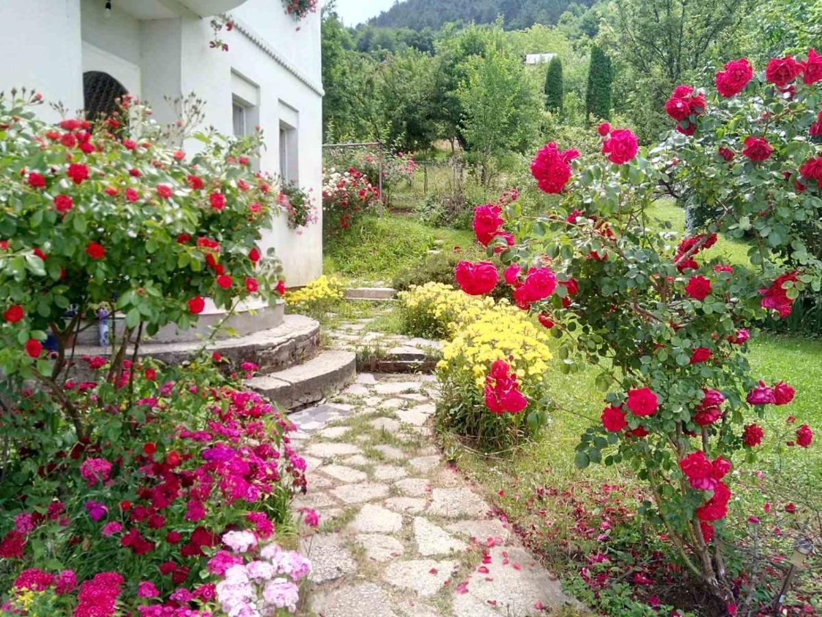Lalic Rooms Сараєво Екстер'єр фото